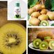 Микс-набор 2-х летнего Киви из 3 шт &laquo;Вкус лета&raquo; &mdash; сорт Соло + Голд + Хейворд + Нано Корневин 100мл DOSL-001267 фото 3